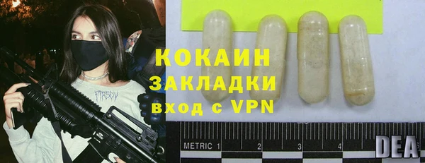 мяу мяу мука Белокуриха
