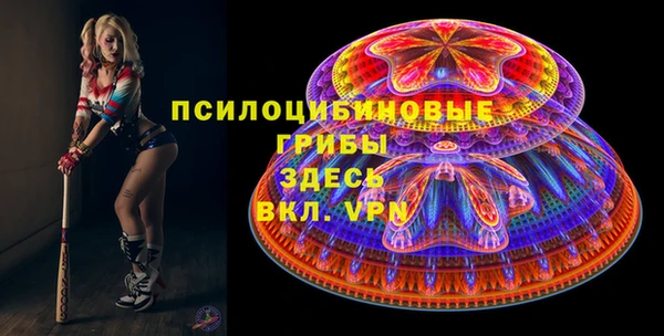 мяу мяу мука Белокуриха