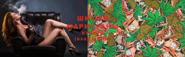 мяу мяу мука Белокуриха
