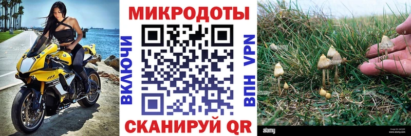 Галлюциногенные грибы мухоморы  где продают наркотики  Курильск 